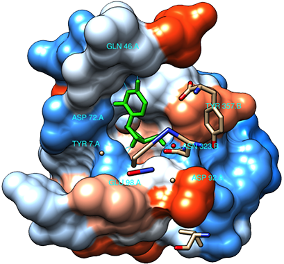 Molecular docking corresponding to the development of biocatalysts for pharma ingredient synthesis